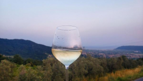 Vinomare Guesthouse Fosdinovo